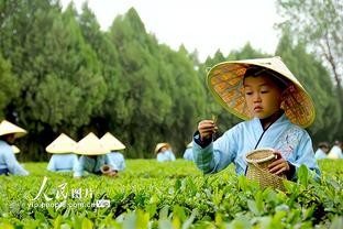 戴格诺特谈霍姆格伦自抛自扣：他打嗨了 我们可没练过这个